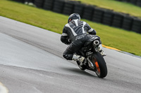 PJ-Motorsport-2019;anglesey-no-limits-trackday;anglesey-photographs;anglesey-trackday-photographs;enduro-digital-images;event-digital-images;eventdigitalimages;no-limits-trackdays;peter-wileman-photography;racing-digital-images;trac-mon;trackday-digital-images;trackday-photos;ty-croes